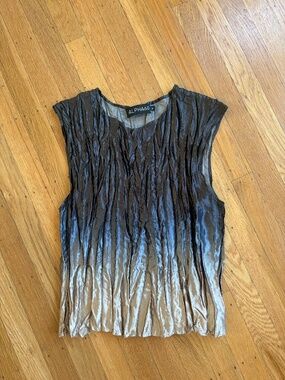 ALPHA60 Ombre Pleat Top